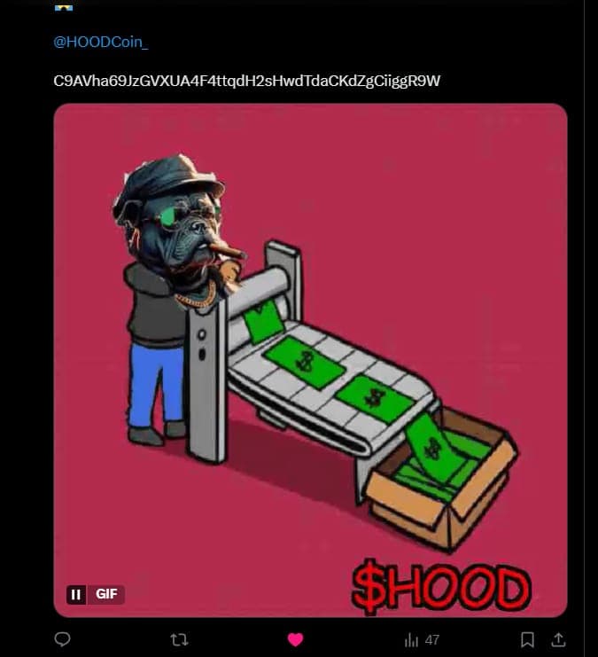 /assets/images/community5.jpeg
